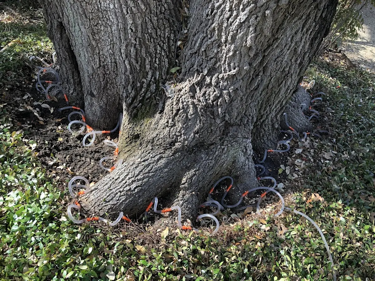 Detailed Shrub and Hedge Trimming job site in Vanderbilt