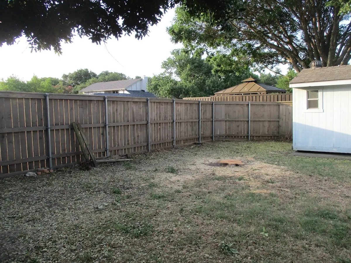 Cleared yard after professional tree removal in Vanderbilt